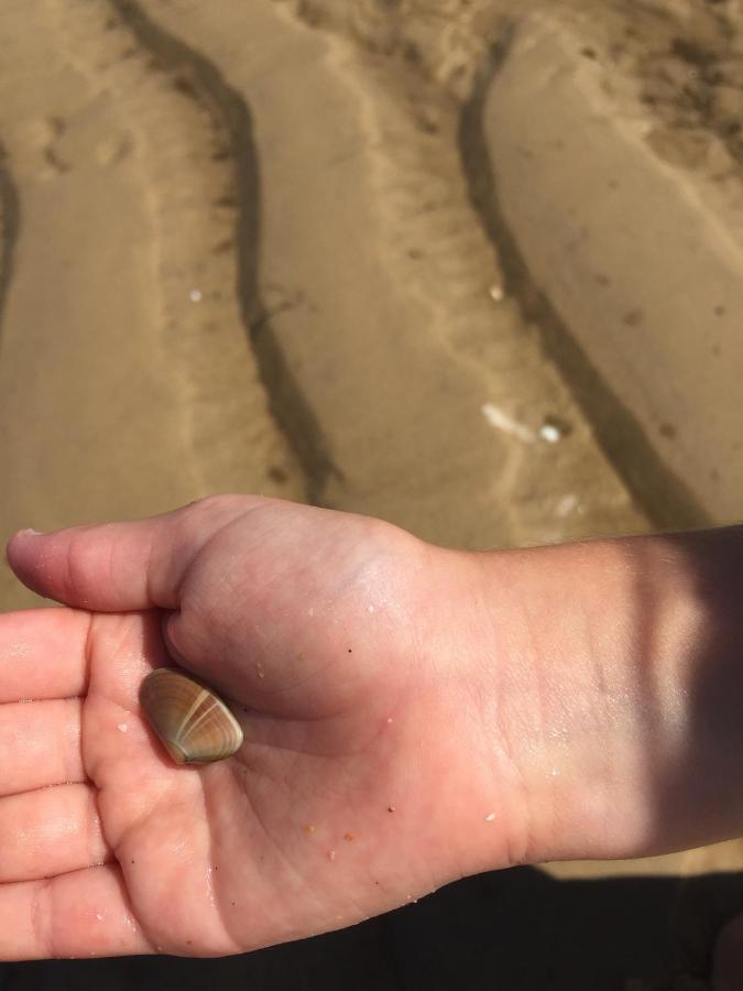 مبيت وإفطار بيغانوس Domaine De L'Espiguette المظهر الخارجي الصورة