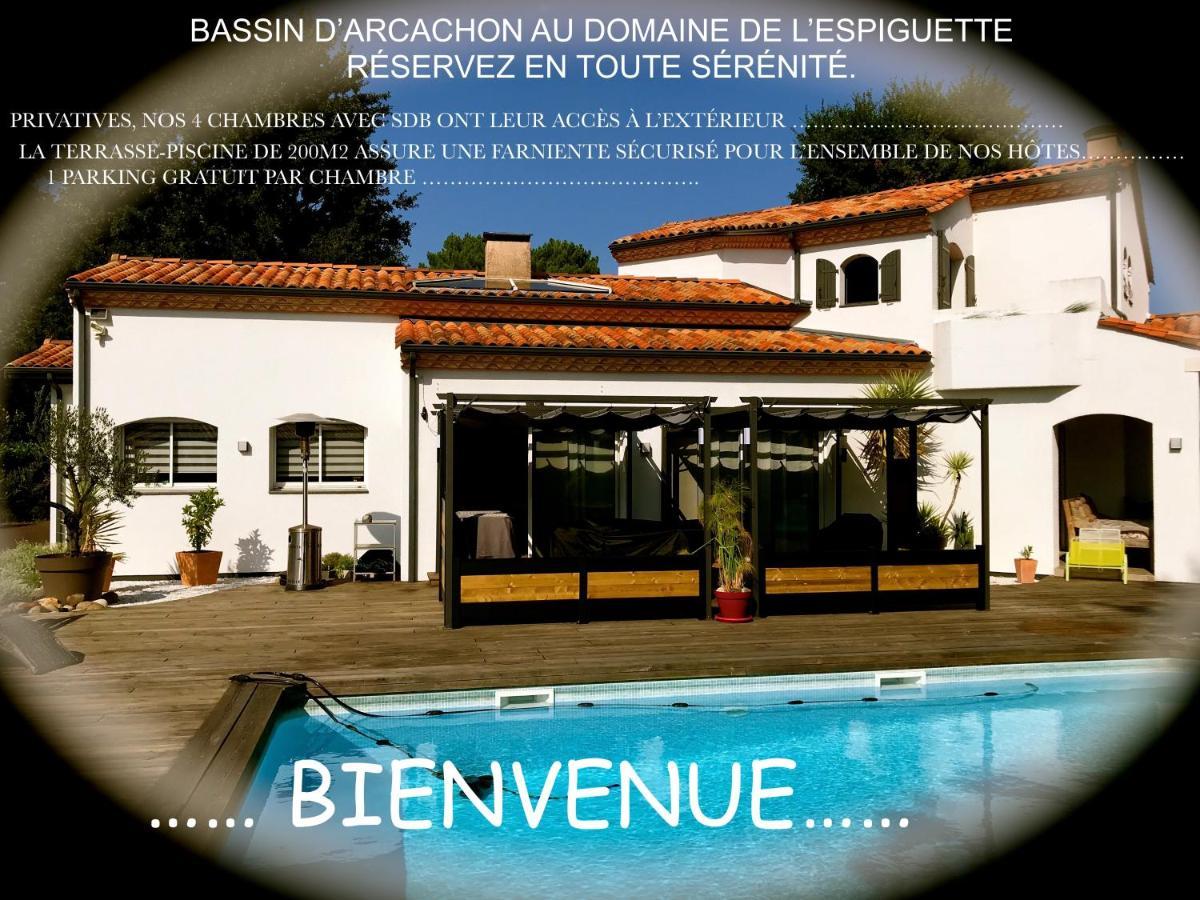 مبيت وإفطار بيغانوس Domaine De L'Espiguette المظهر الخارجي الصورة
